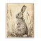 Stupell Industries Vintage Aged Bunny Portrait Framed Giclee, design by Petal Prints Design
